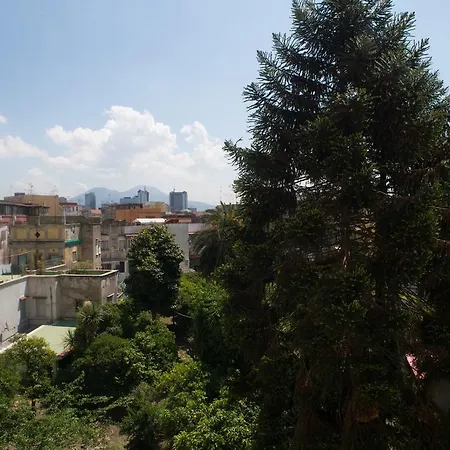 Πανσιόν Napolimilionaria Foria 242 4*